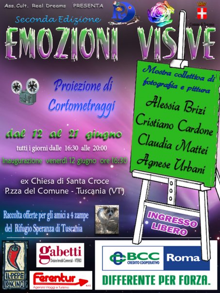 Locandina Mostra Emozioni visive 2009